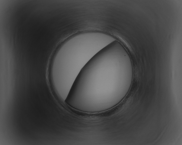 X0000101170677200806270754