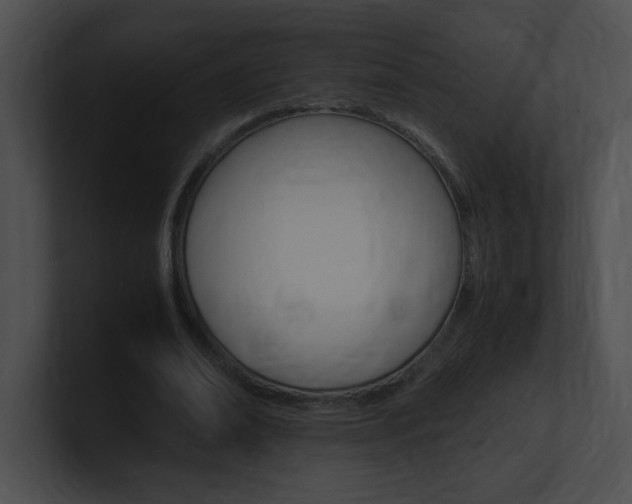 X0000101170678200806270754