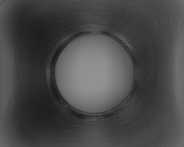 X0000101170679200806270754