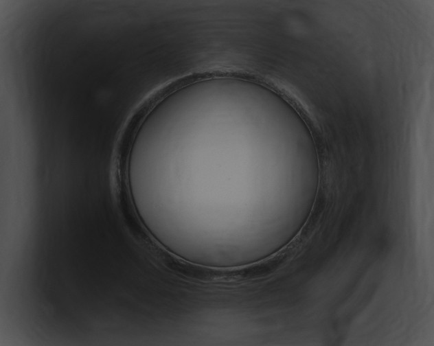 X0000101170680200806270754