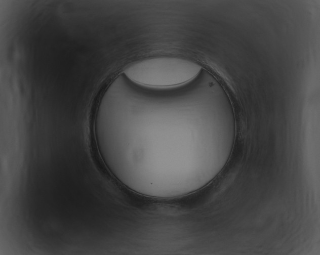 X0000101170681200806270754