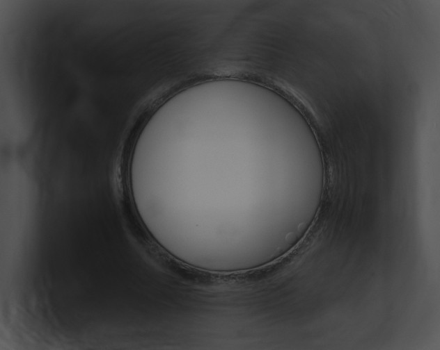 X0000101170682200806270754