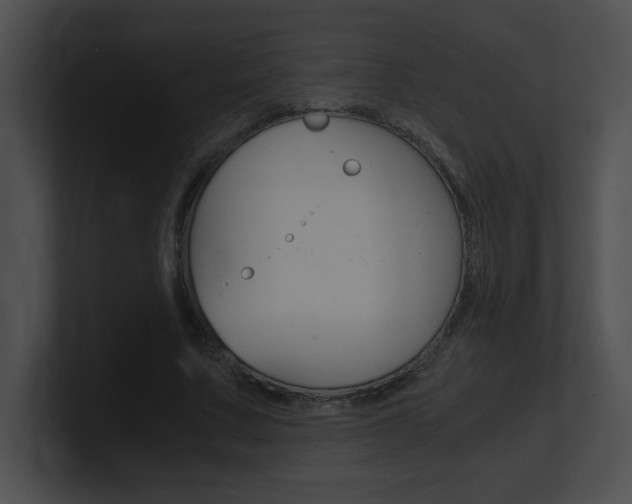 X0000101170683200806270754