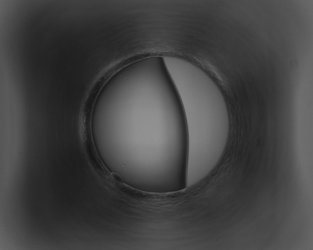 X0000101170684200806270754