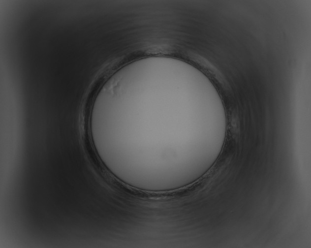 X0000101170686200806270754
