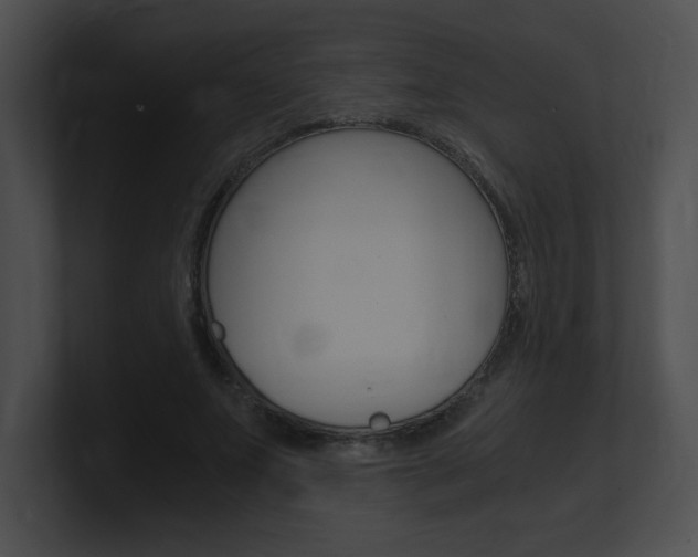 X0000101170687200806270754