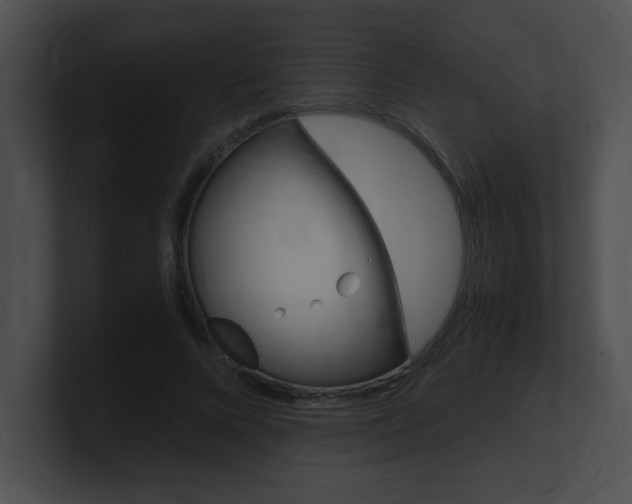 X0000101170688200806270754