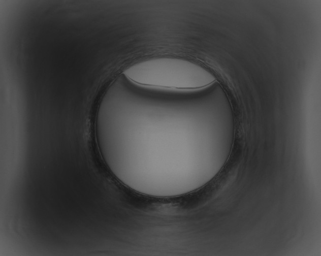 X0000101170689200806270754