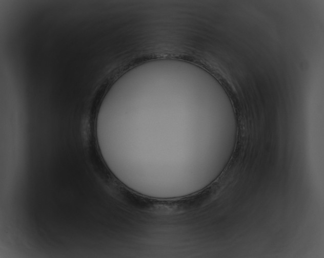 X0000101170690200806270754