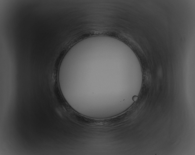 X0000101170691200806270754