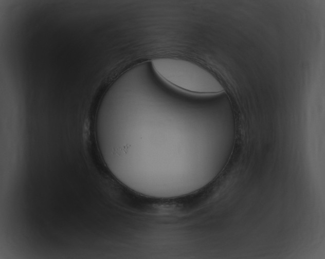 X0000101170693200806270754