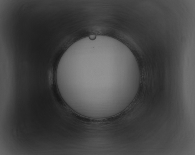 X0000101170694200806270754