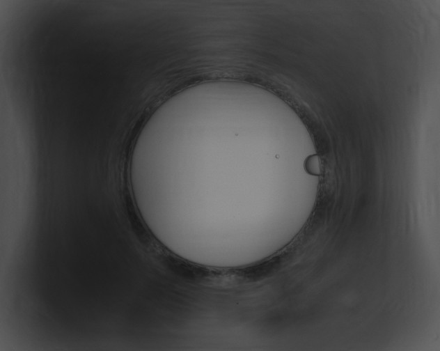 X0000101170695200806270754