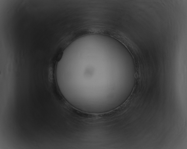 X0000101170696200806270754