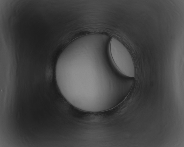 X0000101170697200806270754