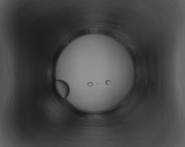 X0000101170698200806270753