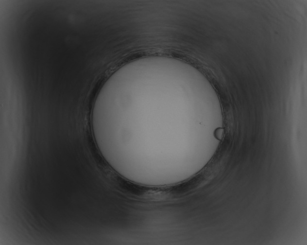 X0000101170699200806270753