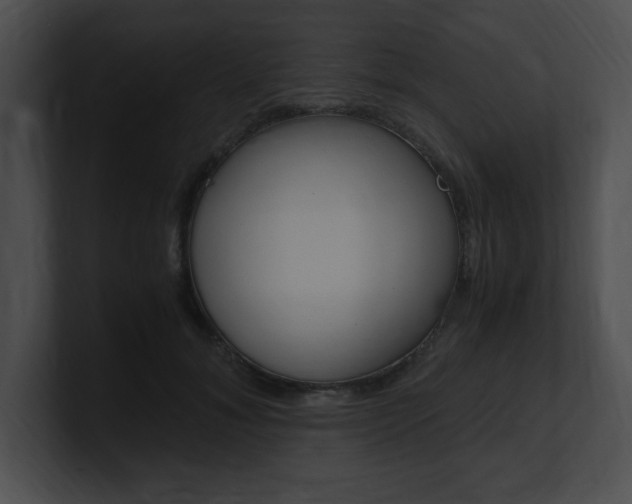 X0000101170700200806270753