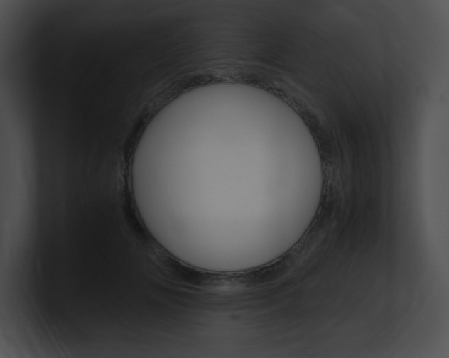 X0000101170702200806270753