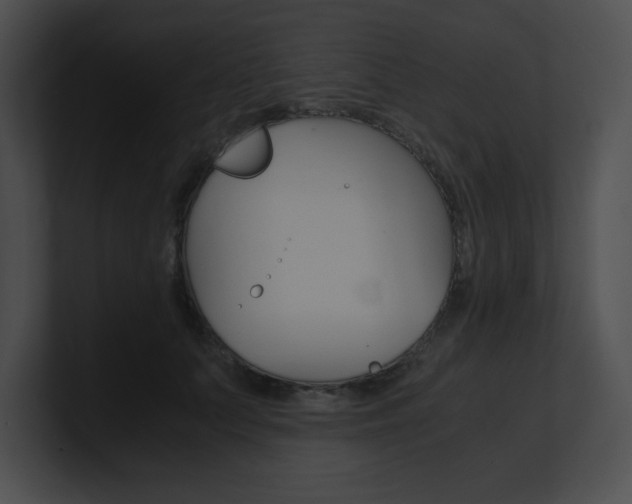 X0000101170703200806270753