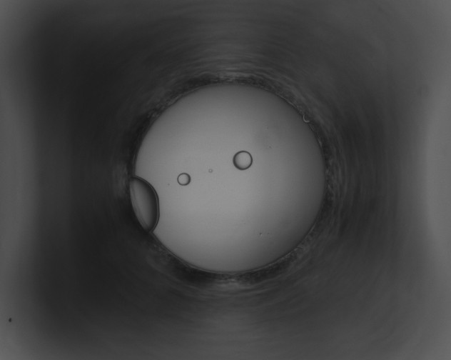 X0000101170704200806270753