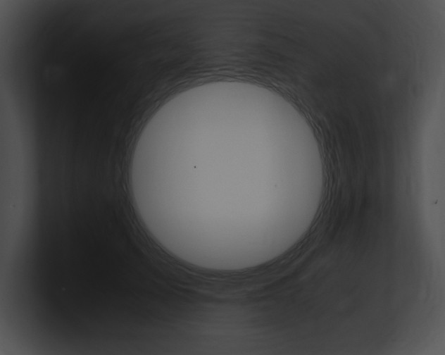 X0000101170705200806270753