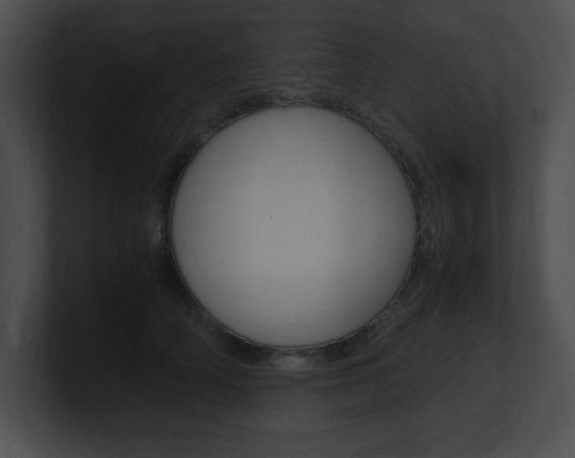 X0000101170706200806270753