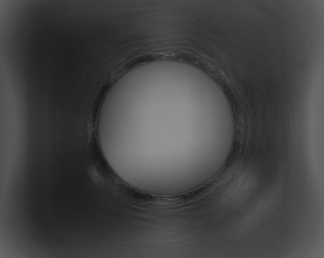 X0000101170707200806270753