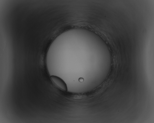X0000101170708200806270753