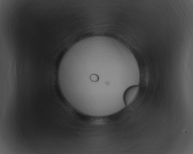 X0000101170710200806270753