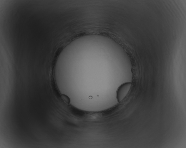X0000101170711200806270753