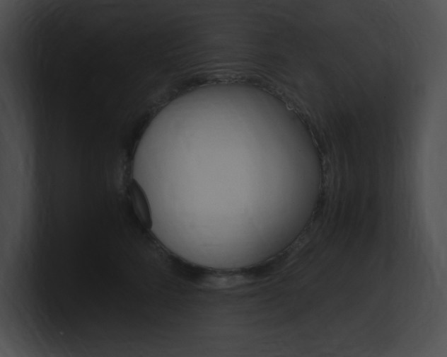 X0000101170712200806270753