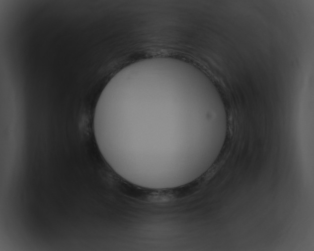 X0000101170714200806270753
