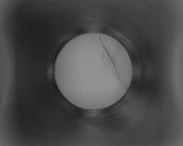 X0000101170717200806270753
