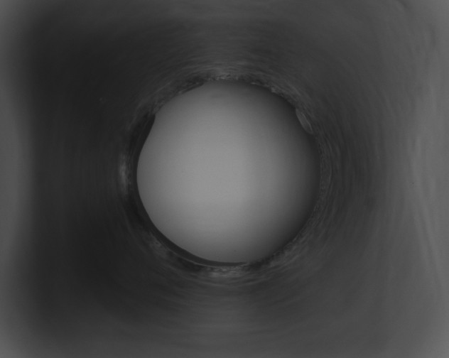 X0000101170720200806270753