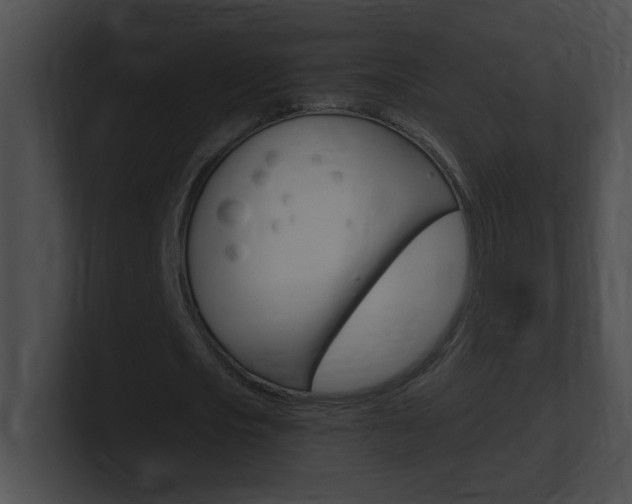 X0000101170721200806270753