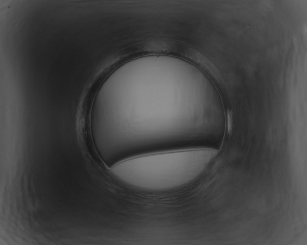 X0000101170723200806270753