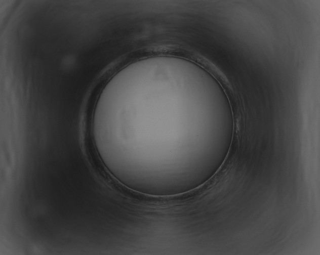 X0000101170724200806270753
