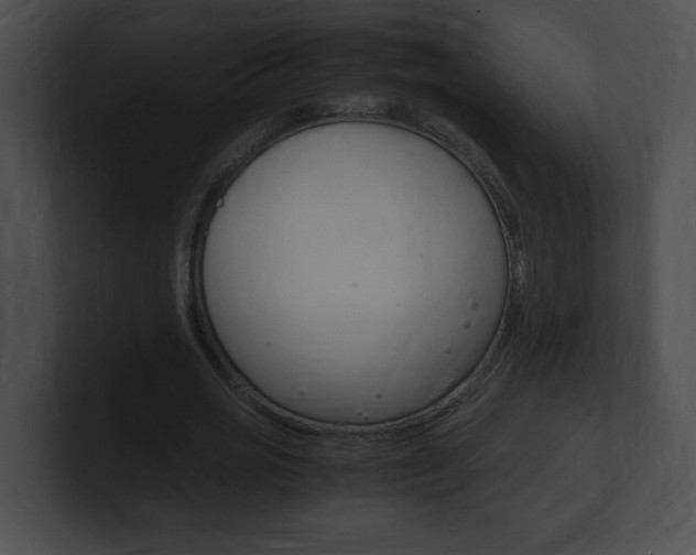 X0000101170725200806270753