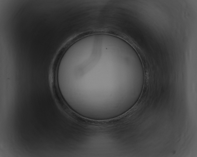 X0000101170726200806270753