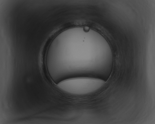 X0000101170727200806270753