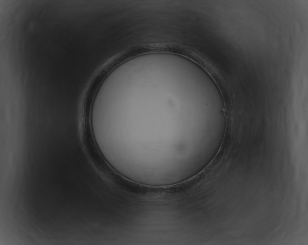 X0000101170728200806270753