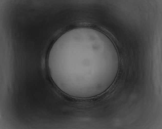 X0000101170729200806270753