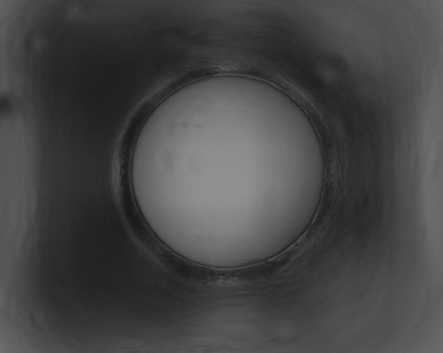 X0000101170730200806270753