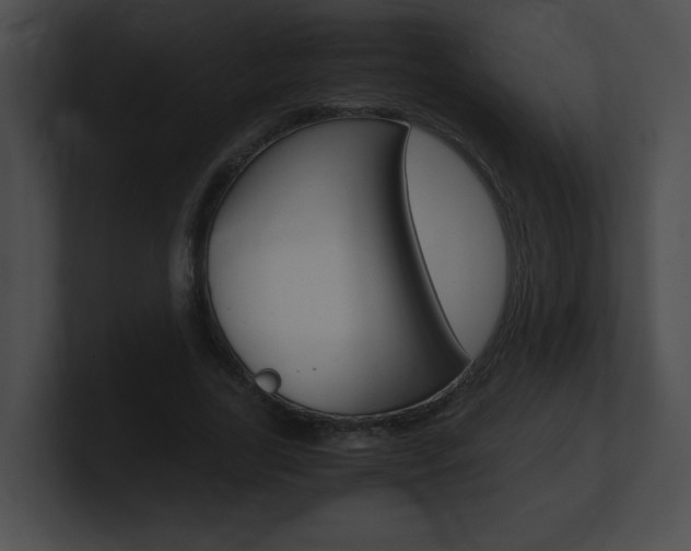 X0000101170731200806270753