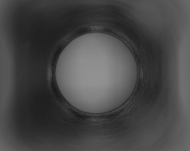X0000101170733200806270753