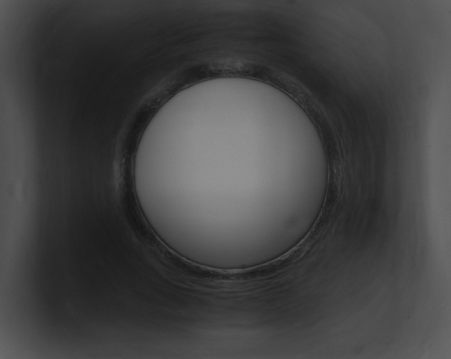 X0000101170735200806270753
