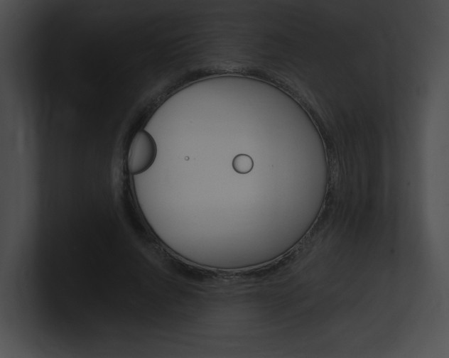 X0000101170736200806270753