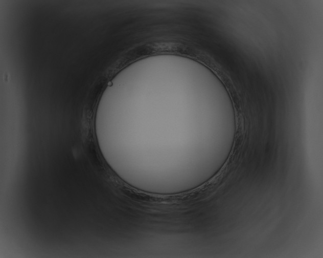 X0000101170737200806270753