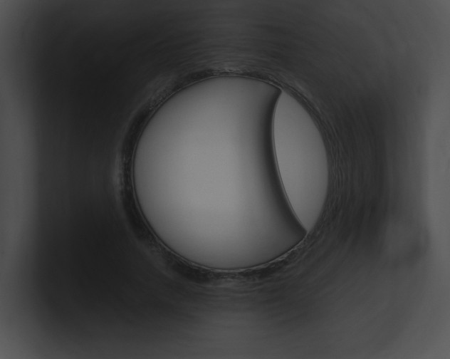 X0000101170738200806270753